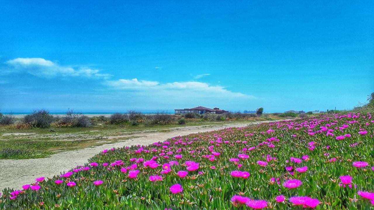 Atico Pinar De Garrucha Con Vistas Al Mar-Gran Terraza Lejlighed Eksteriør billede