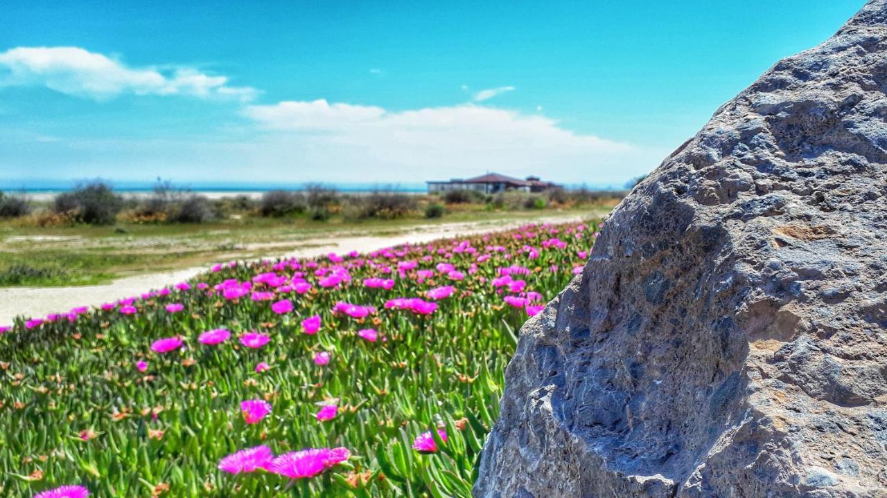 Atico Pinar De Garrucha Con Vistas Al Mar-Gran Terraza Lejlighed Eksteriør billede